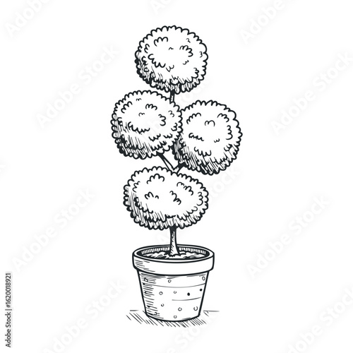 Potted topiary tree with spherical foliage sketch in black and white. Vector illustration