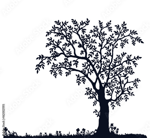 tree with leaves vector – Tree Silhouette vector image, tree illustration Transparent.