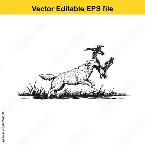 Golden Retriever Vintage Black & White Hunting Dog Illustration with Muller Duck – Standing, Jumping, and Hunting Pose