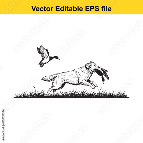 Golden Retriever Vintage Black & White Hunting Dog Illustration with Muller Duck – Standing, Jumping, and Hunting Pose