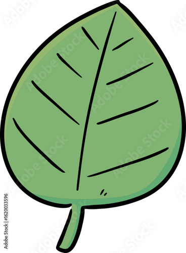 Illustration of leaf
