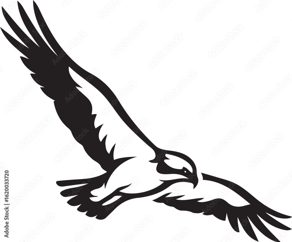 Obraz premium Soaring eagle silhouette with wide wingspan, Flying eagle design in black vector