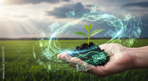 Hands holding a small plant over digital soil with technology data, symbolizing sustainable environmental practices and green technology.