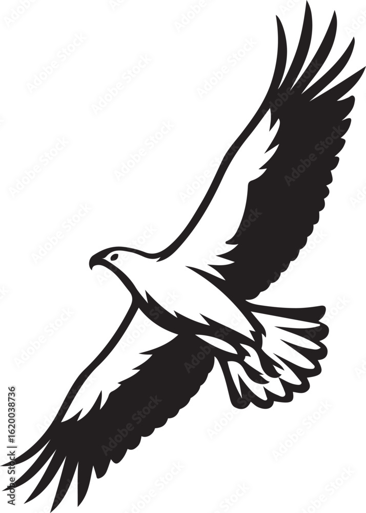 Fototapeta premium Black and white eagle in flight open wings, Stylized flying eagle bird graphic