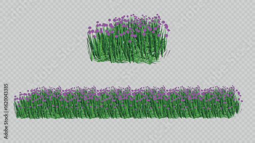 A botanical illustration featuring a bunch and seamless border of wild grass with vibrant purple flowers. Perfect for nature-themed designs and decorative borders.
