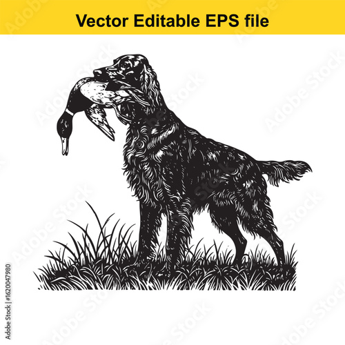 Irish Setter Vintage Black & White Hunting Dog Illustration with Muller Duck – Standing, Jumping, and Hunting Pose