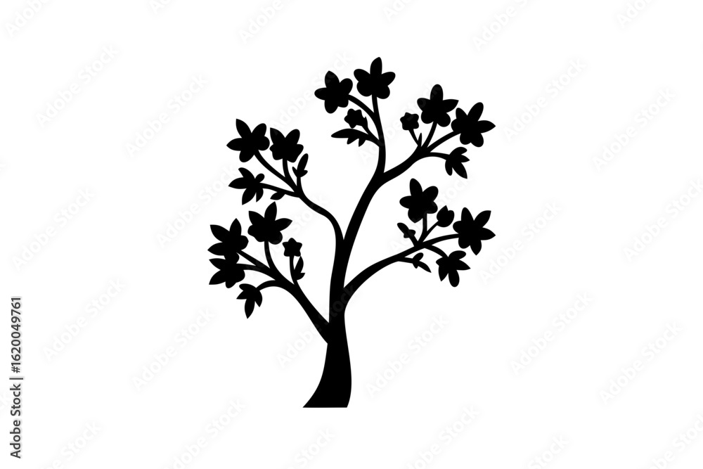 Obraz premium Blooming Koa Tree Silhouette nature