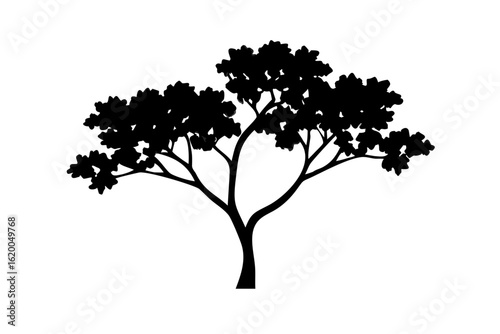 Blooming Jacaranda Tree Silhouette blooming tree outline