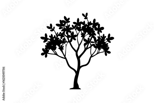 Blooming mangrove tree silhouette with white background