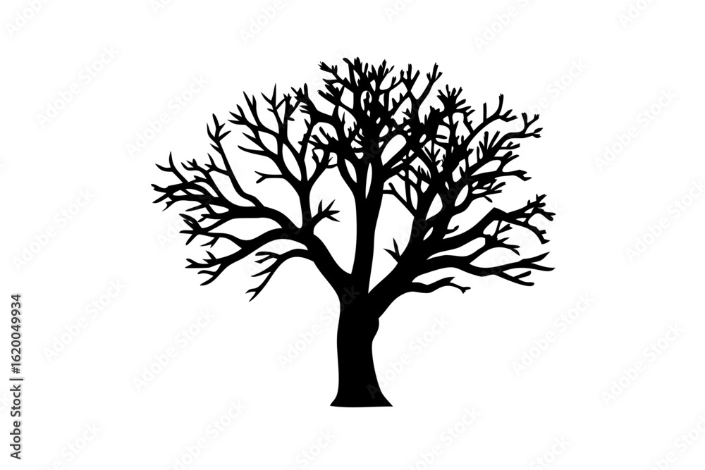 Obraz premium Blue Banyan Tree Silhouette nature