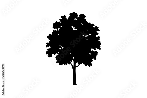 Blue Catalpa Tree Silhouette on White Background blue tree