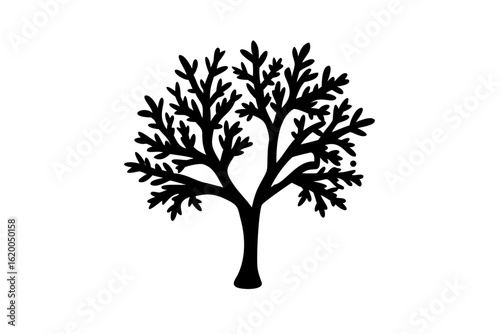 Blue Olive Tree Silhouette on White Background plant