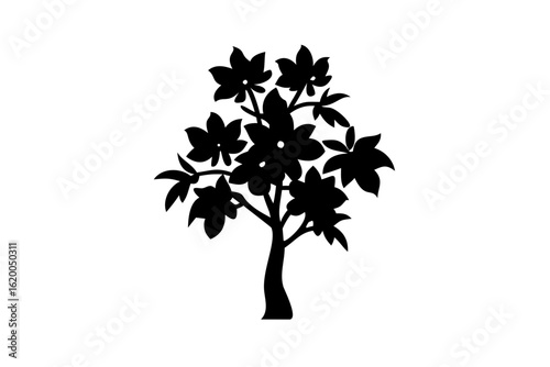 Sapodilla Tree Silhouette with Blooming Flowers white background