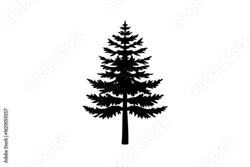 Silhouette of a blooming pine tree on a white background