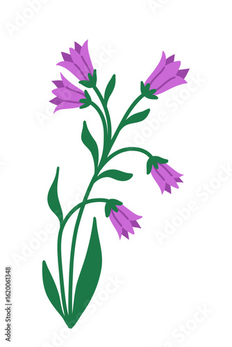 Flat vector illustration of a single hand drawn wild bell flower in purple color. Isolated on a white background. Perfect for botanical, floral, or seasonal nature themed designs.