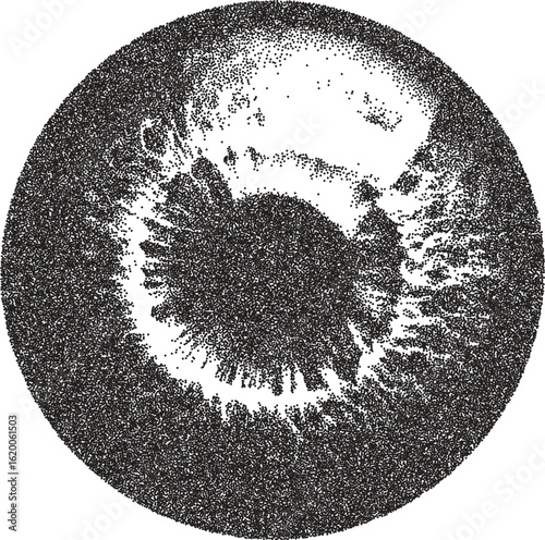 Eye vintage y2k stipple art, vision halftone stipple brutalist retro vector png with transparent background, iris 2000s aesthetic photocopy effect tattoo