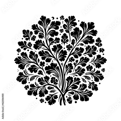 Black and White Floral Silhouette Design.