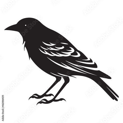 Vector art of black silhouette of a bird standing on its legs isolated on white background