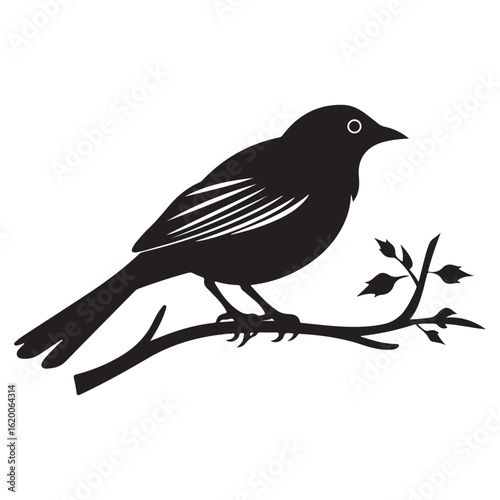 Vector art of black silhouette of a bird perched on a branch isolated on white background