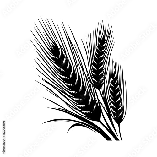 Black and White Wheat Stalks Illustration.