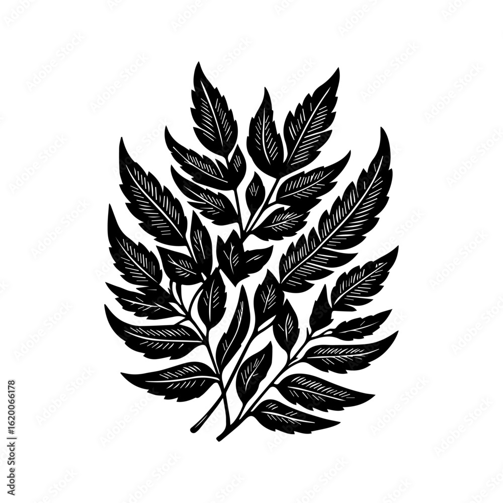 Fototapeta premium Black Silhouette of Fern Leaves on White Background.