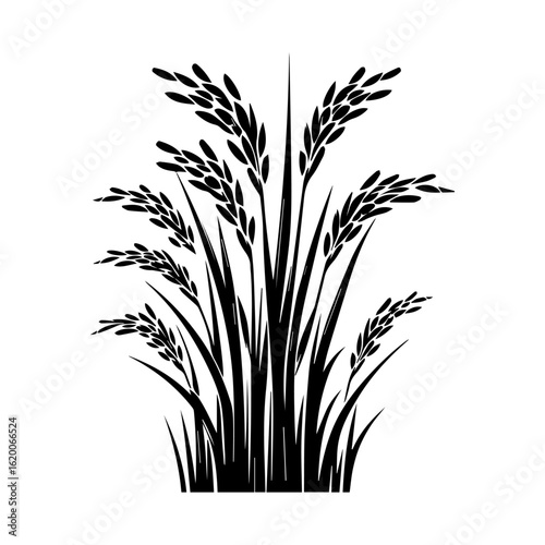 Black Silhouette of Rice Stalks with Grains.