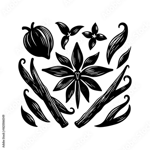 Black Silhouette of Star Anise and Vanilla Pods.