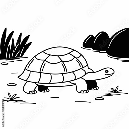 turtle vector illustration