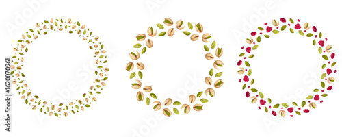 Round wreath with open and closed pistachios, raspberry. Vector set of hand drawn nut and berries frame illustration. Perfect for packaging design, organic branding, nut label and healthy food project