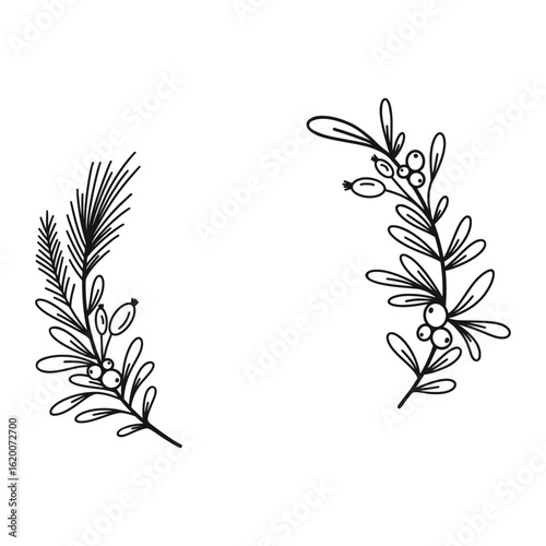 Merry Christmas border with fir branches, twigs, holly leaves and berries. Holiday circle wreath vector illustration. Nature design greeting card template. Winter xmas decoration.