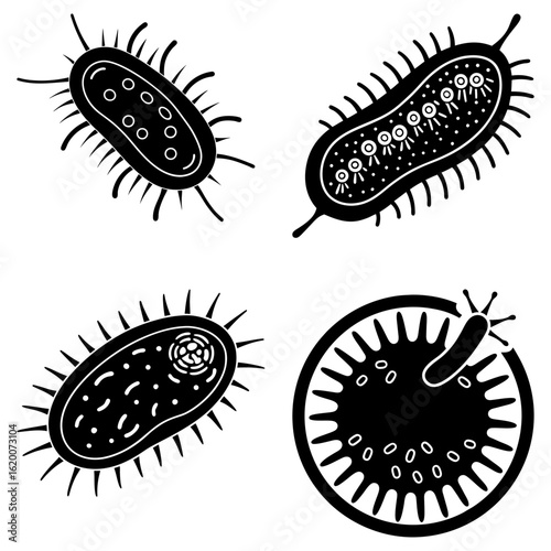 Illustration of four different types of bacteria cells with varying shapes and internal structures