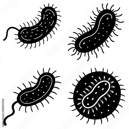 Illustration showing four different types of bacteria cells with flagella and pili in black and white style