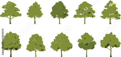 Watercolor illustration of stylized green trees with varying shapes and sizes arranged in three rows on a white background

