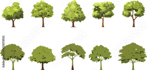 Watercolor illustration of stylized green trees with varying shapes and sizes arranged in three rows on a white background

