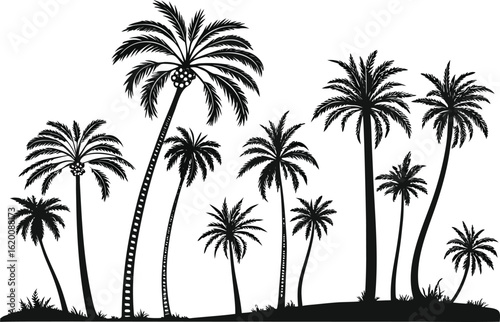 Collection of palm trees silhouette isolated on transparent background