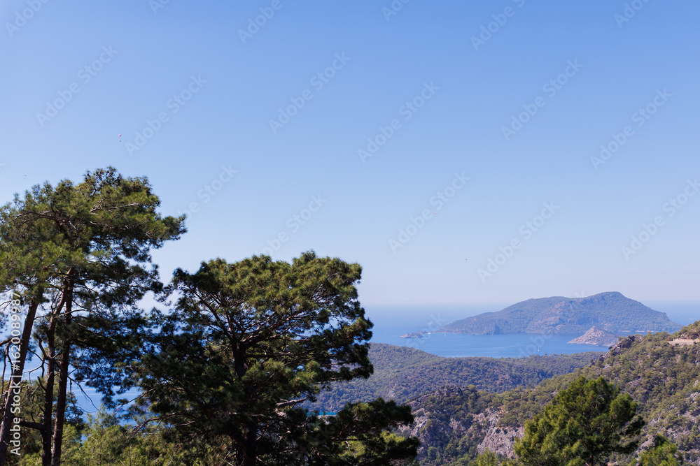 close up of a a tree and beautiful view of the Oludeniz, mediterranean sea, Fethiye close up of a a tree and beautiful view of the Oludeniz, mediterranean sea, Fethiye