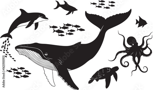 Black Silhouette Collection of Marine Life Including Whale Dolphin Octopus and Fish