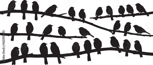 Silhouettes of birds perched on tree branches vector illustration