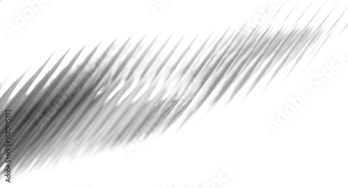 Shahow of wing art illustration monochrome abstract design