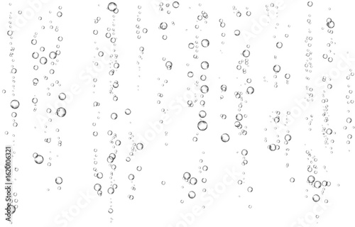 Oxygen air bubbles  flow  in water on white  background.