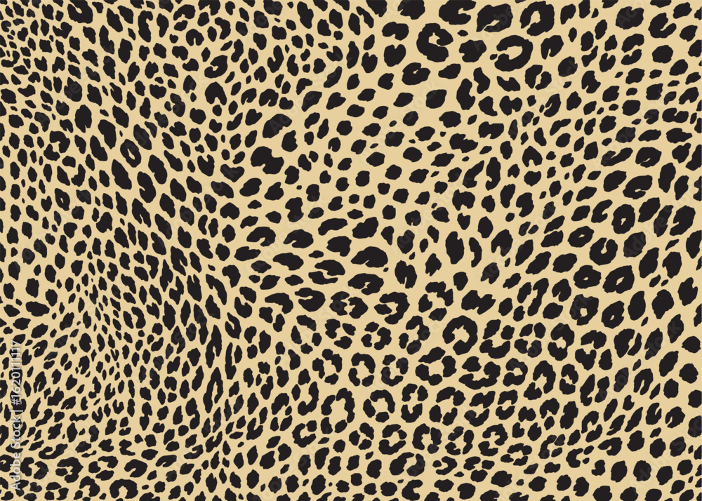 Leopard pattern design. Animal print vector illustration background. Wildlife fur skin design illustration for web, home decor, fashion, surface, graphic design