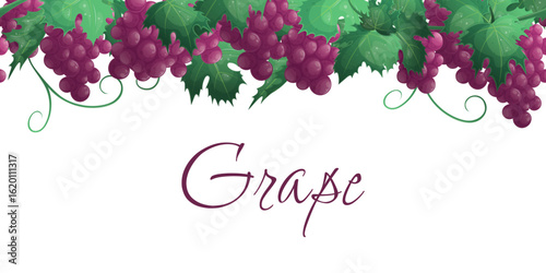 Seamless border with branches and bunches of red grapes, leaves, berries. The concept of the wine festival, tasting. Vector illustration for banners, flyers, web