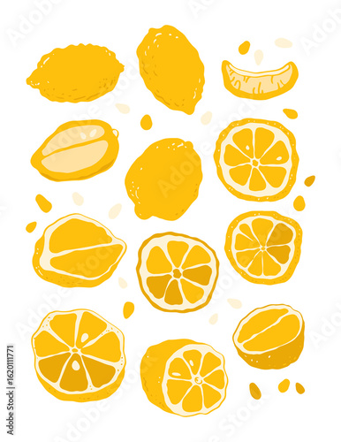 Lemon set isolated, citrus fruit, lemon vitamin C