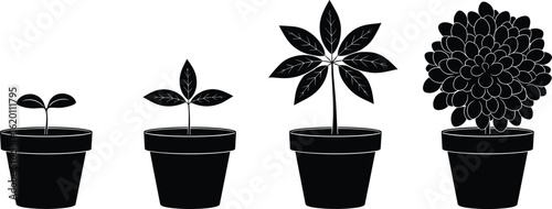 Plant growth stages in pots black silhouette, vector illustration showing seedling to full bloom, botanical concept, gardening development, nature design, isolated on white