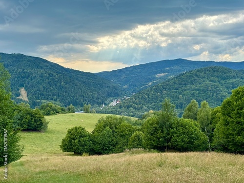 Fototapeta Naklejka Na Ścianę i Meble -  Beskid Sądecki - okolica Piwnicznej-Zdrój