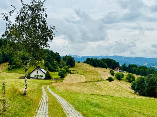 Fototapeta Naklejka Na Ścianę i Meble -  Okolice Piwnicznej-Zdroju w Beskidzie Sądeckim