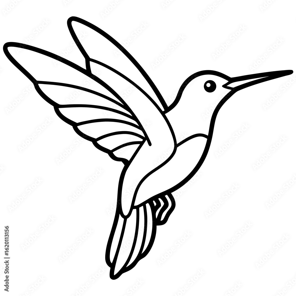 Obraz premium Minimalist Hummingbird Line Art Illustration