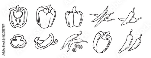 red hot chili peppers and bell peppers doodle hand drawn icon set. Outline drawing red hot chili peppers and bell peppers line clipart symbol collection