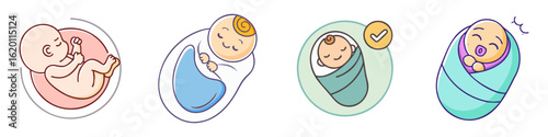 Stages of Baby Development from Fetus in Womb to Swaddled Infant