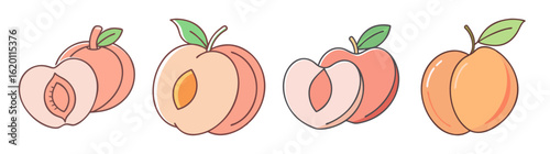 Cartoon Peaches Whole and Halved Showing Seed and Skin Illustration